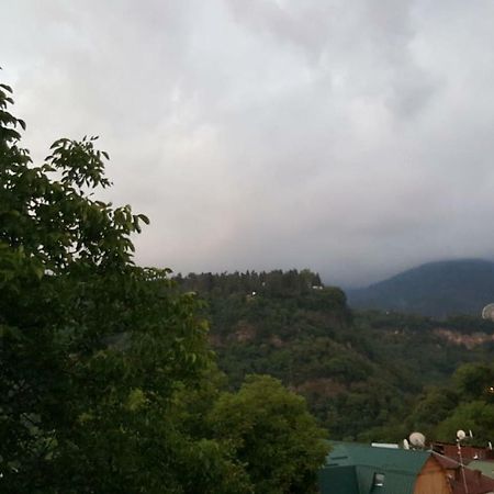 Hillside Orbeliani Residence Borjomi Exterior foto